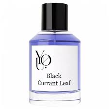 You - Black Currant Leaf