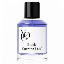 You - Black Currant Leaf
