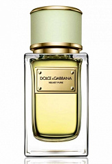 Dolce & Gabbana - Velvet Pure