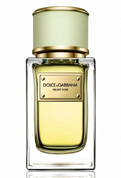 Dolce & Gabbana - Velvet Pure
