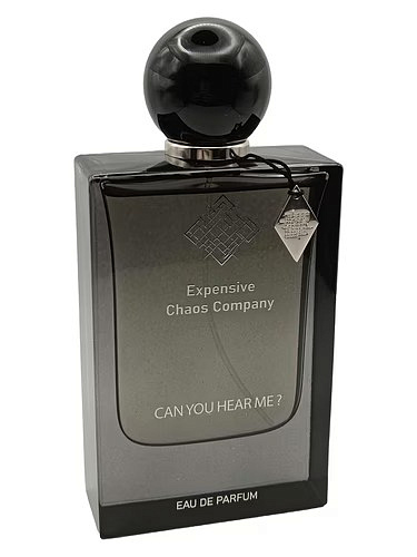 Expensive Chaos Company - Can You Hear Me?