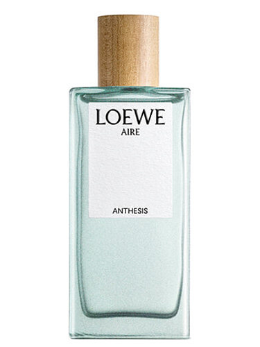 Loewe - Aire Anthesis