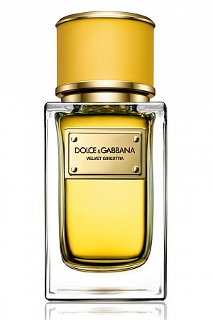 Dolce & Gabbana - Velvet Ginestra