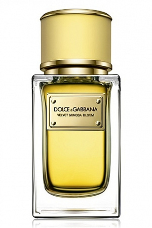 Dolce & Gabbana - Velvet Mimosa Bloom