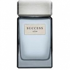 Donald Trump - Success