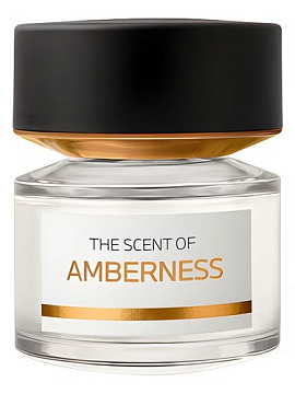 BMW Fragrances - Amberness