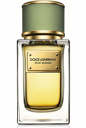 Dolce & Gabbana - Velvet Bergamot
