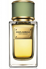 Dolce & Gabbana - Velvet Bergamot