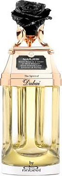 The Spirit of Dubai - Narjesi